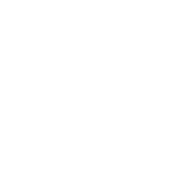 বিদেশ এক্স