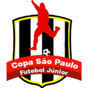 ব্রাজিলিয়ান যুব কাপ