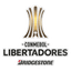 CONMEBOL Copa Libertadores