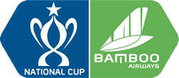 वियतनाम राष्ट्रीय कप
