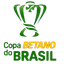 Brazilian Cup
