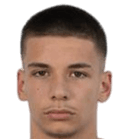 ستيفان رادويفيتش