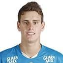 जियोरगेमी