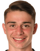 سيلفان شفيغلر