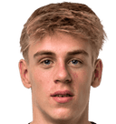 فريدريك هايسلبرج