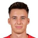 دوستين ويلمس