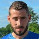 लुडोविक सालिने