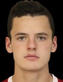 فاسيلي تشيجيكوف