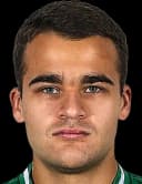 سيمين رادوستيف