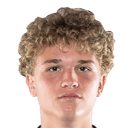 توث تاماس فيد