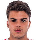 فلاد ميتريا