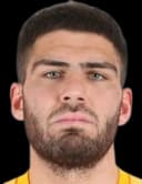 أرسين سيوكايف