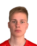 ريكو إرنيتس