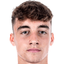 نيال هوجينز