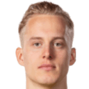 गुस्ताव बर्गग्रेन