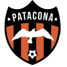 पाटकौना