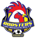 Lake Macquarie City Reserve