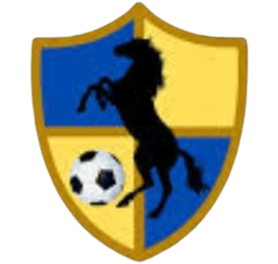 রেসিং ইউনাইটেড