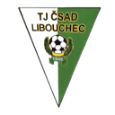 টি জে লিবৌচেক