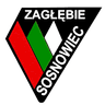 Zaglebie Sosnowiec Youth