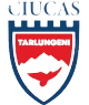 এএসসি চিউকাস তারলুঙ্গেনি