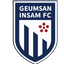 Geumsan Insam FC