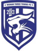 Wuhan Three TownsU19