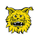 Ilves Youth