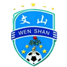 Wenshan Team