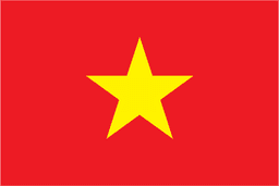 Vietnam Futsal