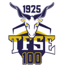 टीएफएसई बुडापेस्ट