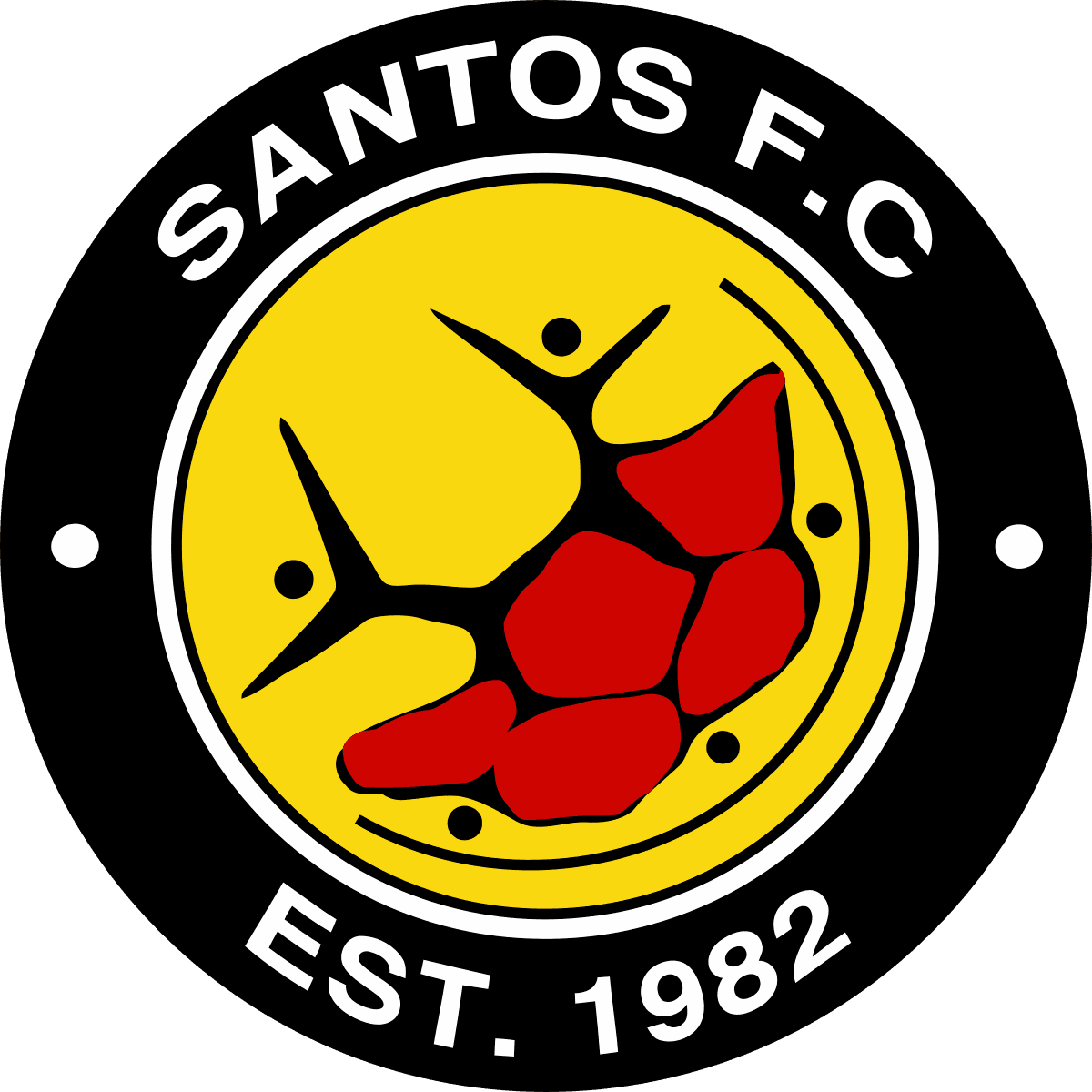 Santos Cape Town