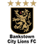बैंकसटाउन सिटी लायंस