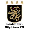 बैंकसटाउन सिटी लायंस