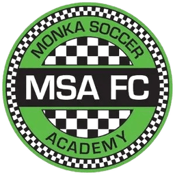 বিদ্যানগর এমএসএ