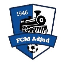 সিএসএম অ্যাডজুড