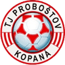 प्रोबोस्तोव