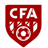 হিংগান লীগ দল