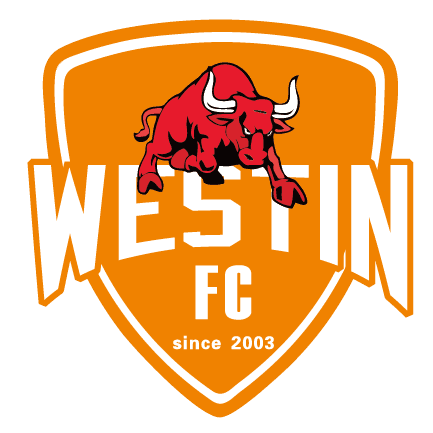 فوشان الرياضية للسيدات