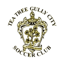 مدينة تي تري غولي