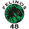 फेलिनोस 48 एसी