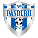 এসি এস ভিয়েতোরুল প্যান্ডুরি তারগু জিউ