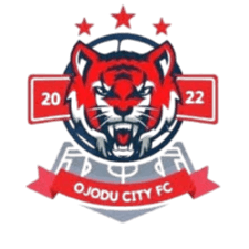 ওজোদু সিটি যুবক