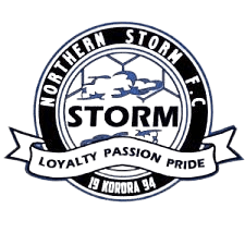 নর্দার্ন স্টর্ম