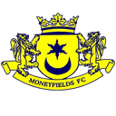 मनीफिल्ड्स