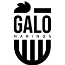 गालो मारिंगा