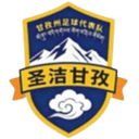 গাঞ্জি টিম