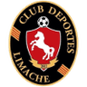 Deportes Limache