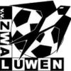 Zwaluwen