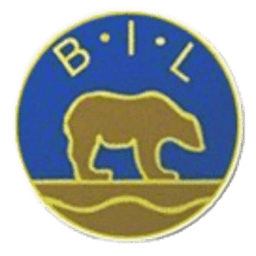 বজর্নেভাট্ন